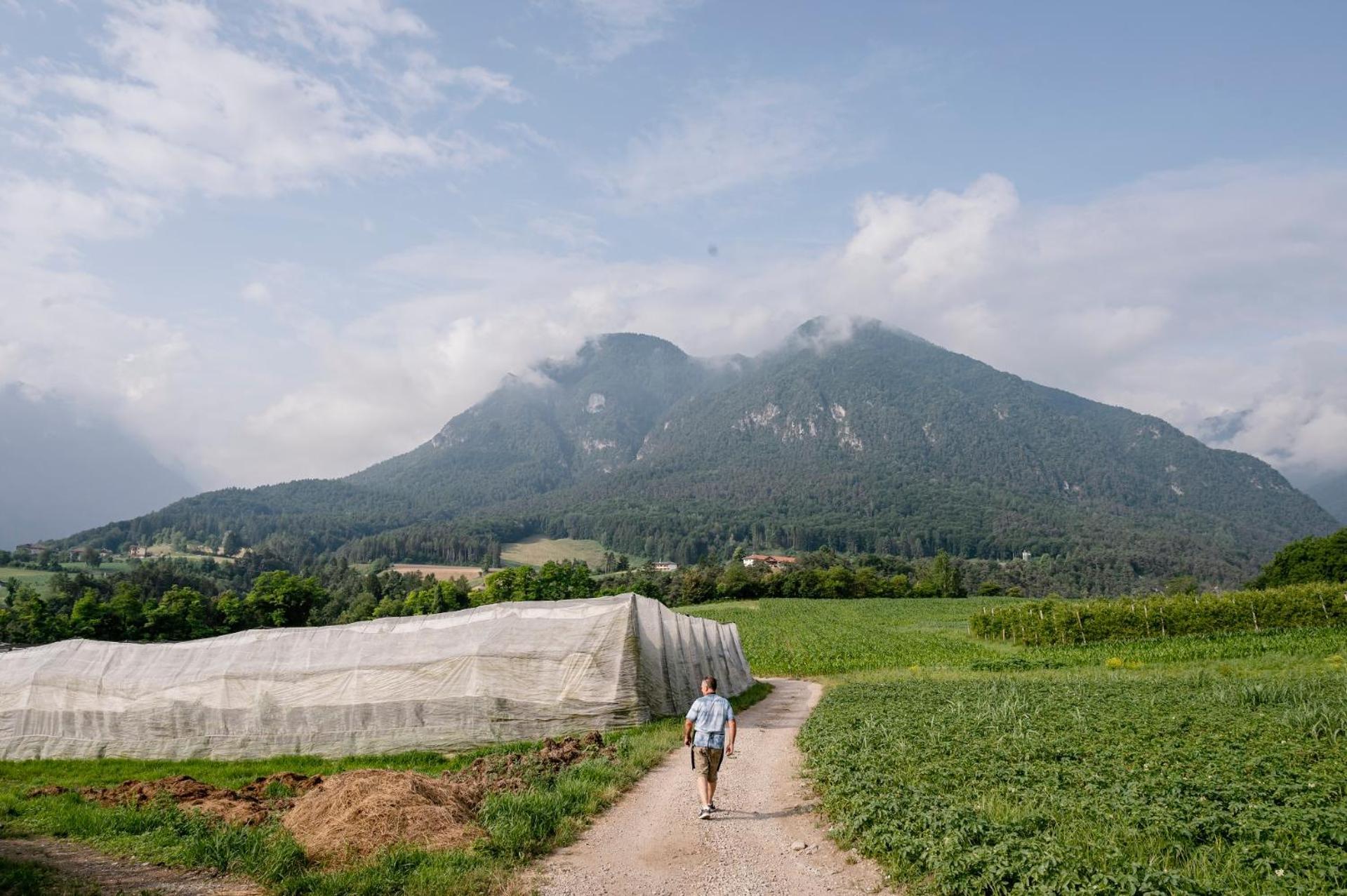 Agritur Maso Alle Rose B&B E Restaurant 발비도-랑고 외부 사진