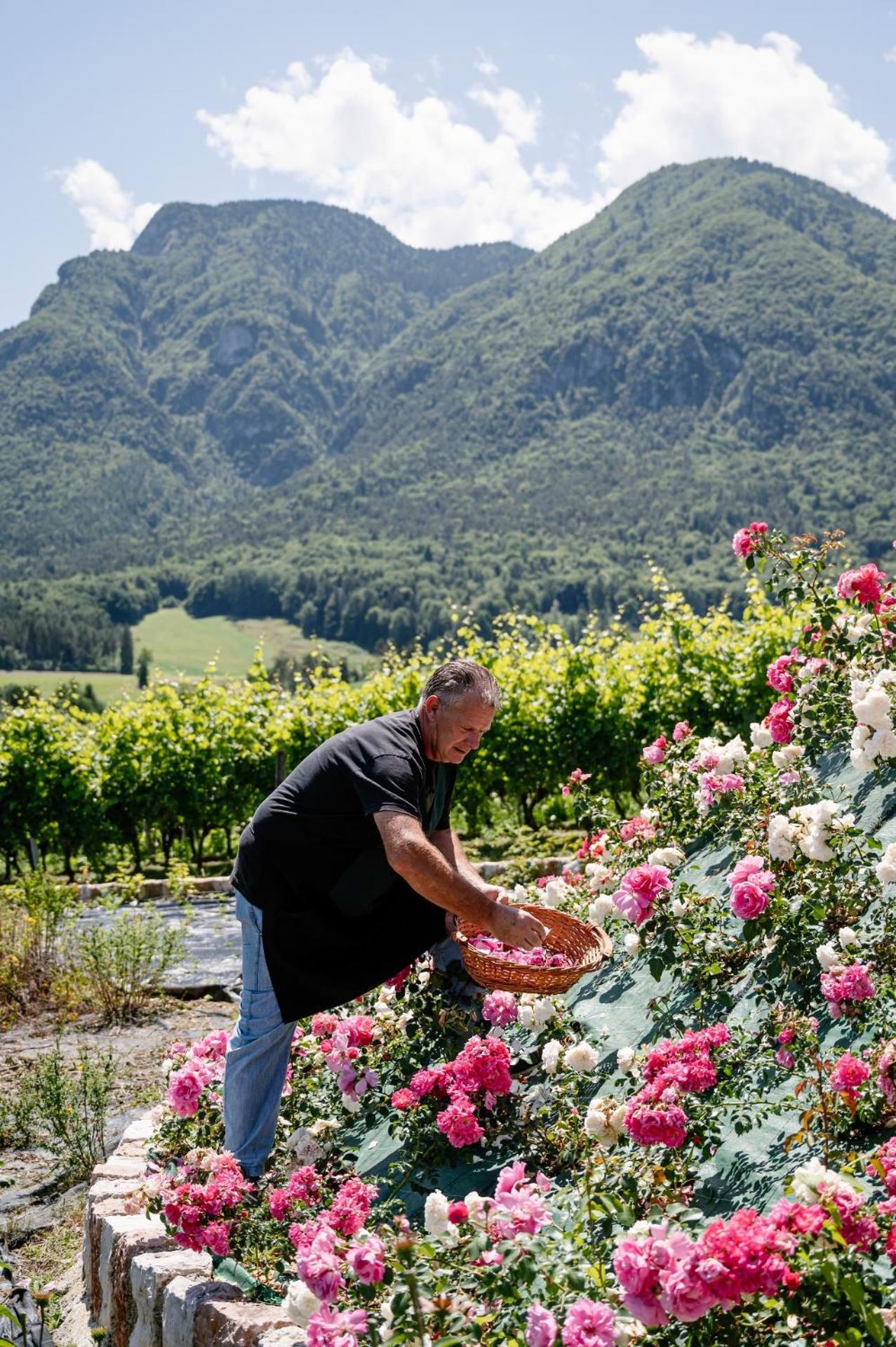 Agritur Maso Alle Rose B&B E Restaurant 발비도-랑고 외부 사진